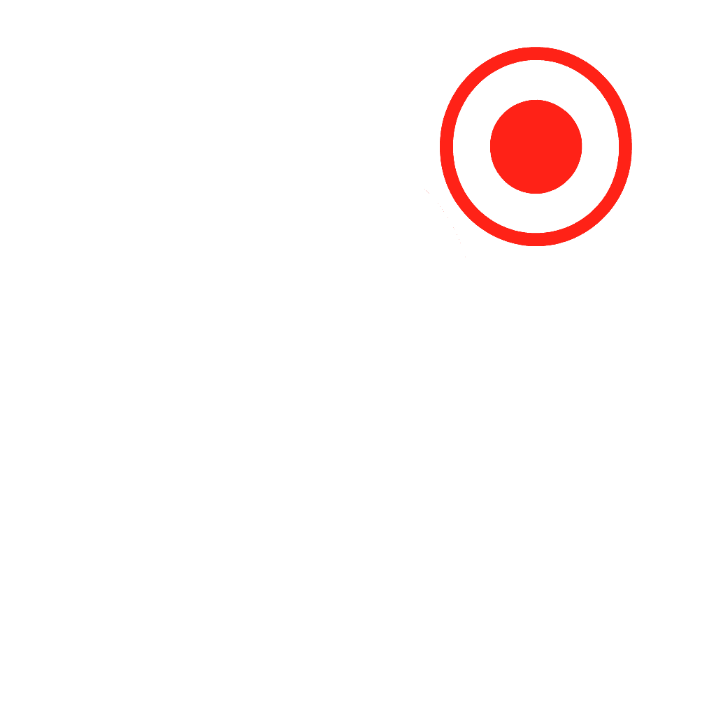 Painpoint logo